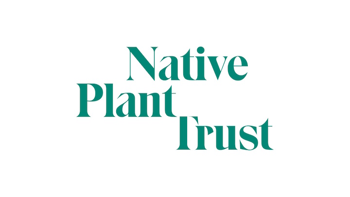 Kanda Partners with Native Plant Trust