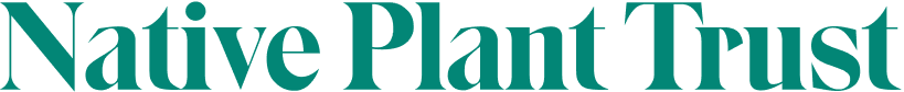 Native Plant Trust's company logo