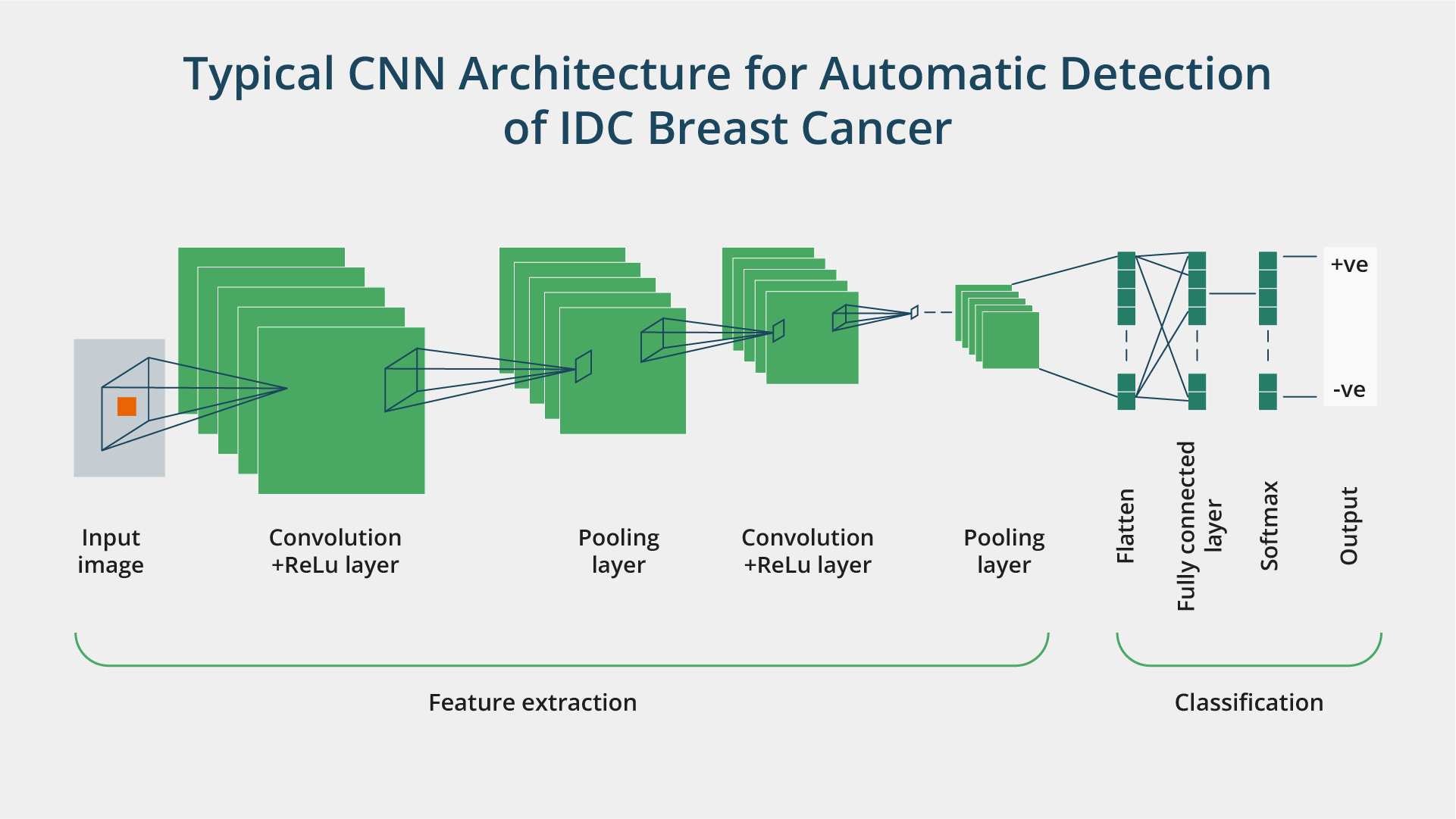 CNN Architecture